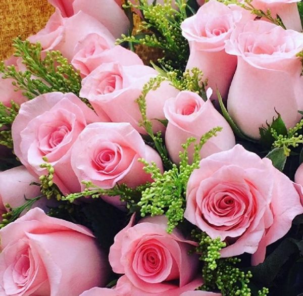 粉玫瑰真正的花语（粉色玫瑰花代表什么意思）
